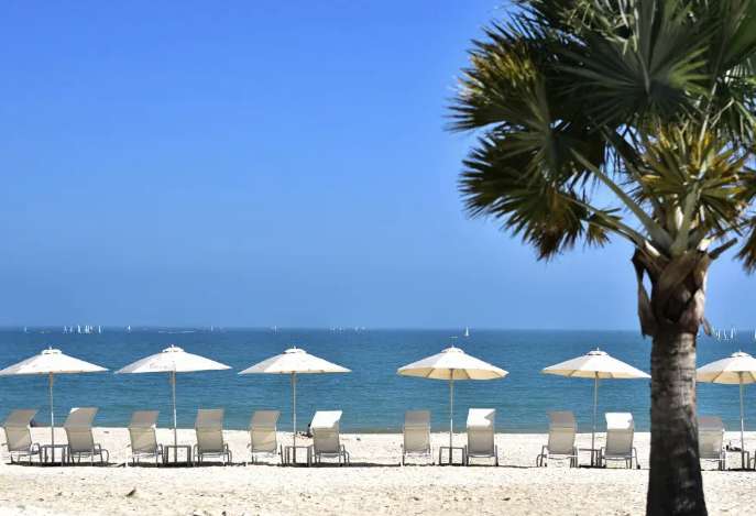 深圳桔釣沙萊華度假酒店