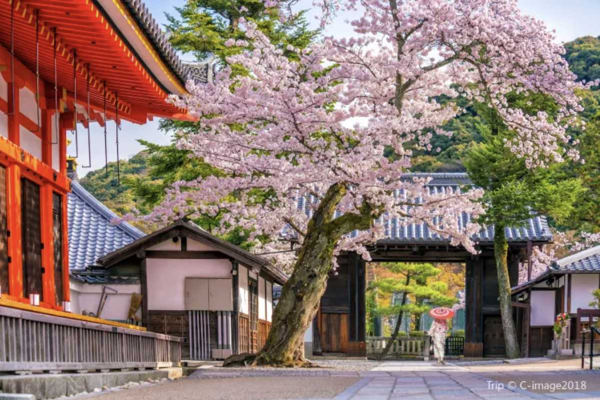 일본 교토 날씨