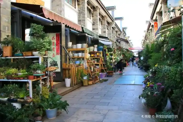 Kunming Flower and Bird Market