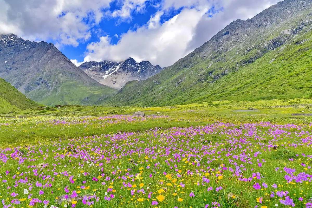 เที่ยวหุบเขาซวงเฉียวโกว