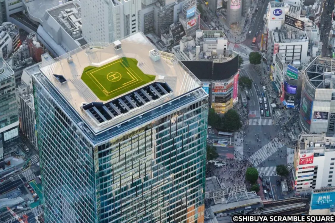 Best Areas to Stay in Tokyo: Shibuya City