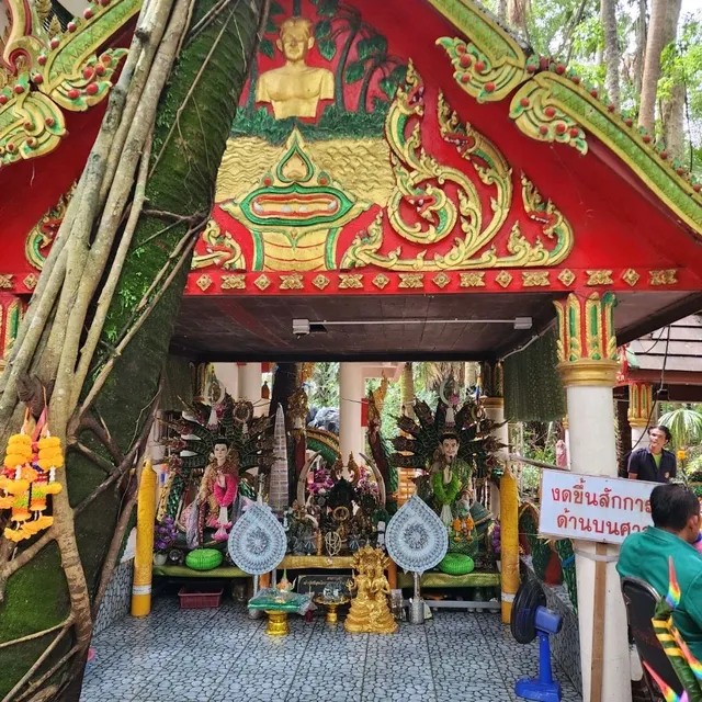 พ่อปู่ศรีสุทโธและแม่ย่าศรีปทุมมา คำชะโนด จังหวัดอุดรธานี