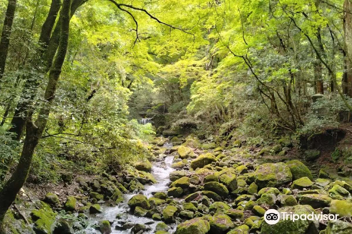 犬鳴山