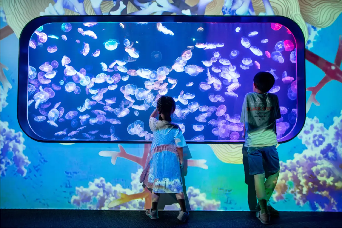 荃灣市內好去處 # 1 浩海立方•探游館