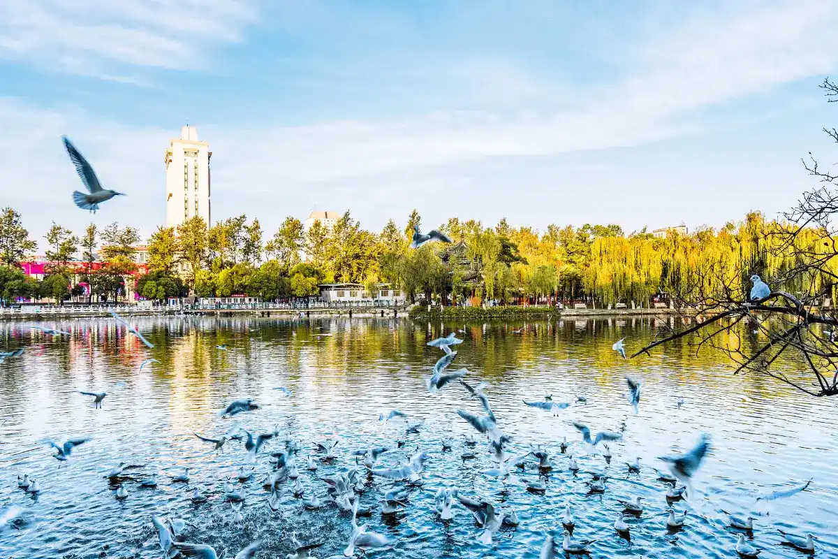 สวนสาธารณะชุ่ยหู