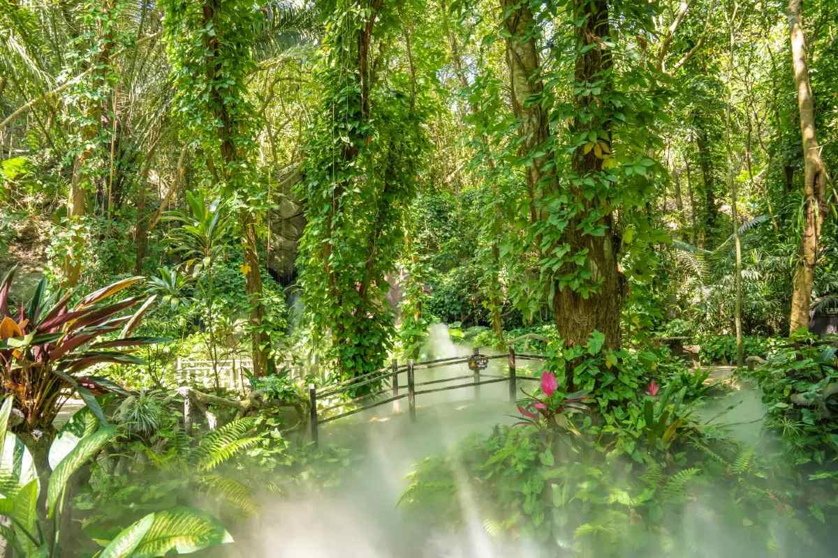 呀諾達熱帶雨林