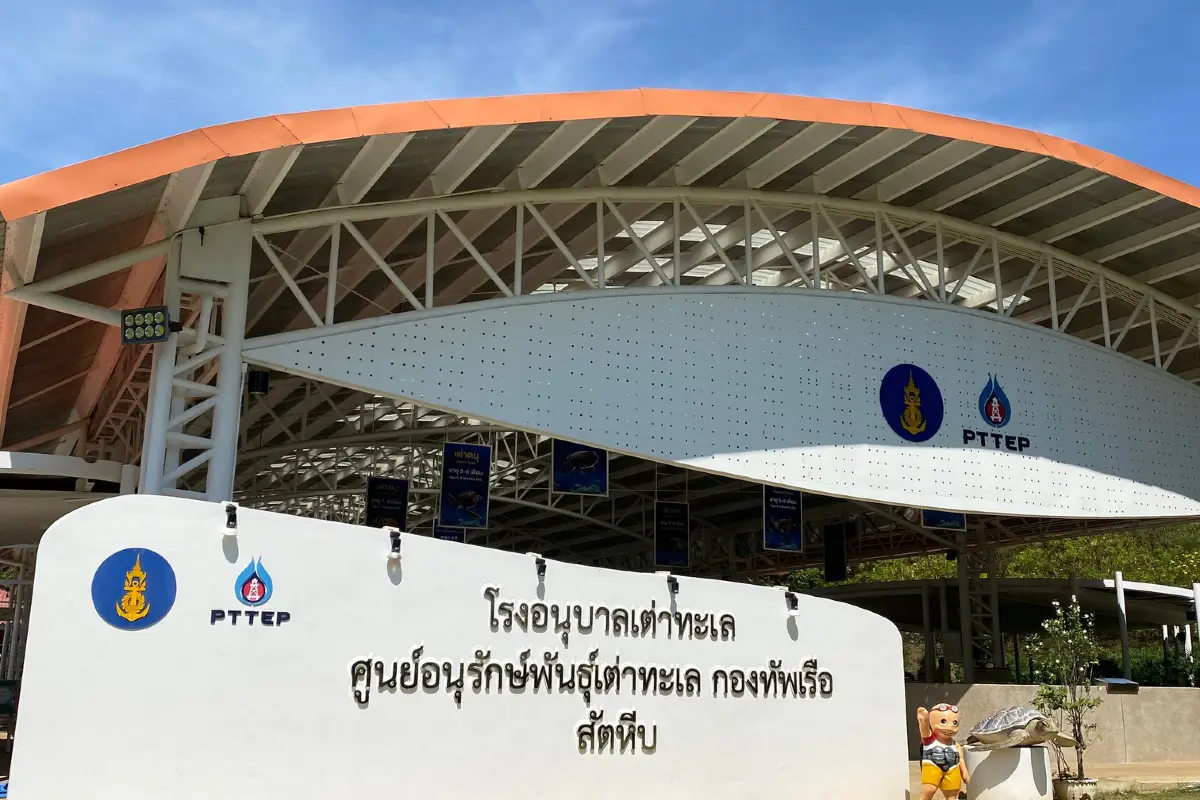 ศูนย์อนุรักษ์พันธุ์เต่าทะเล