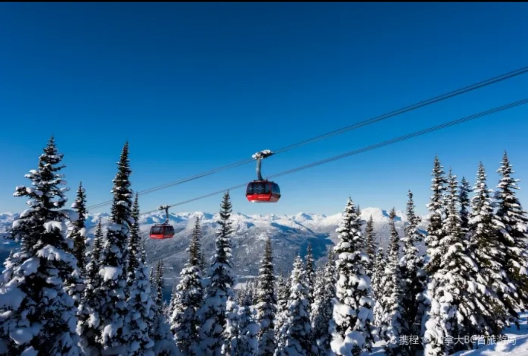 Peak2Peak Gondola Whistler