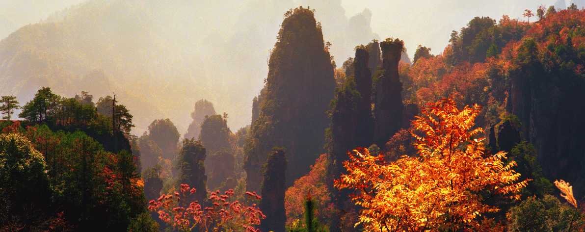 Paisaje otoñal en Zhangjiajie con montañas y árboles de colores cálidos.