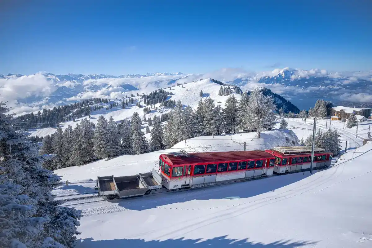 เขาริกิ