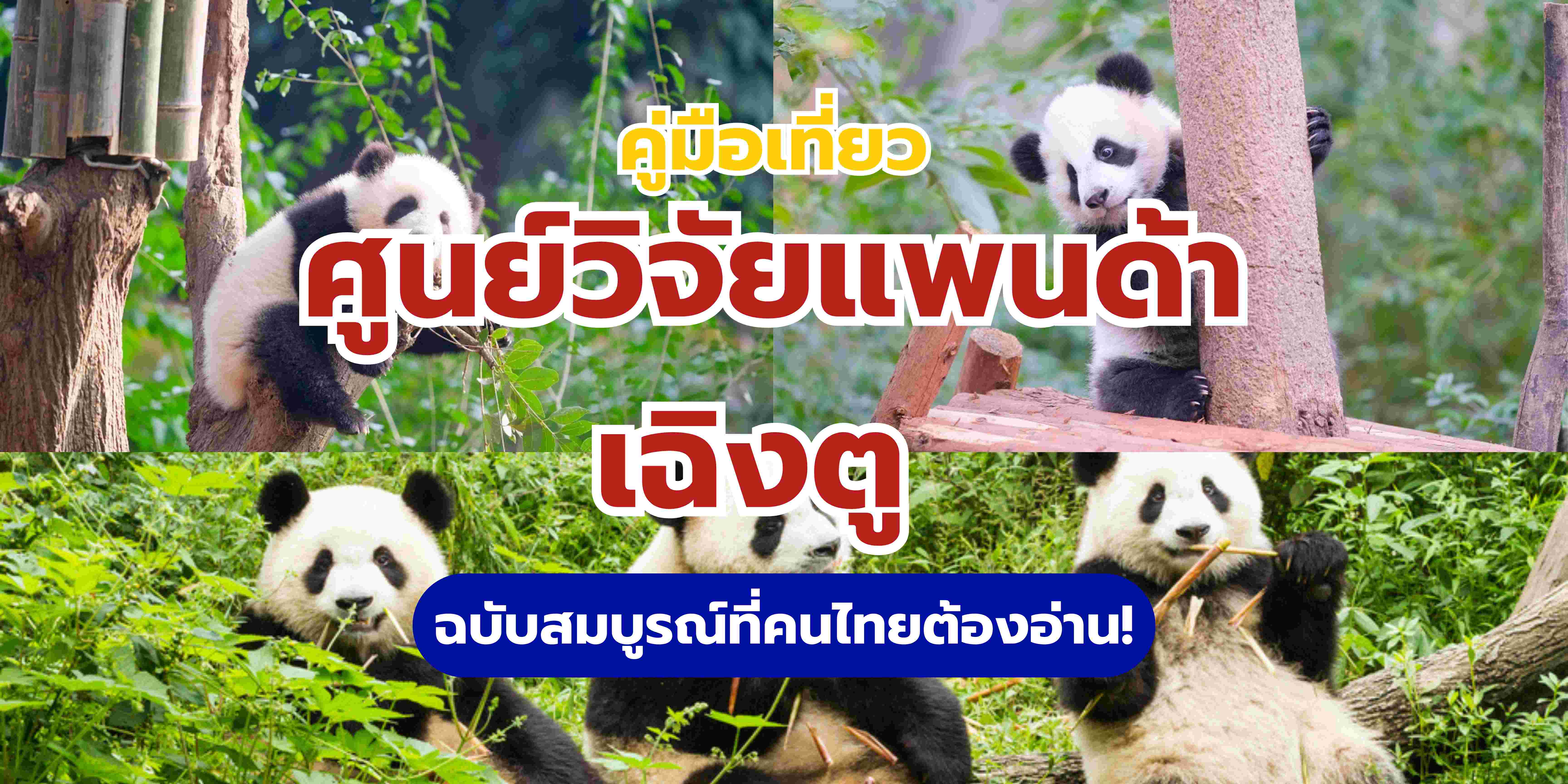 ศูนย์วิจัยแพนด้า