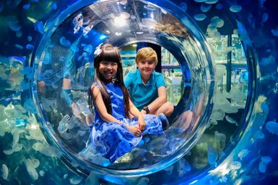 Melbourne Aquarium Tickets