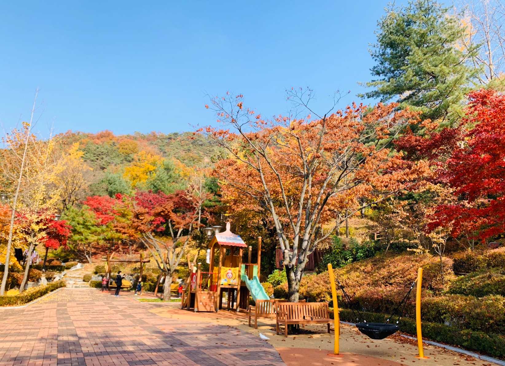 韓國賞楓景點韓國賞楓景點｜首爾 - 首爾林公園｜首爾近郊 - 內藏山國立公園