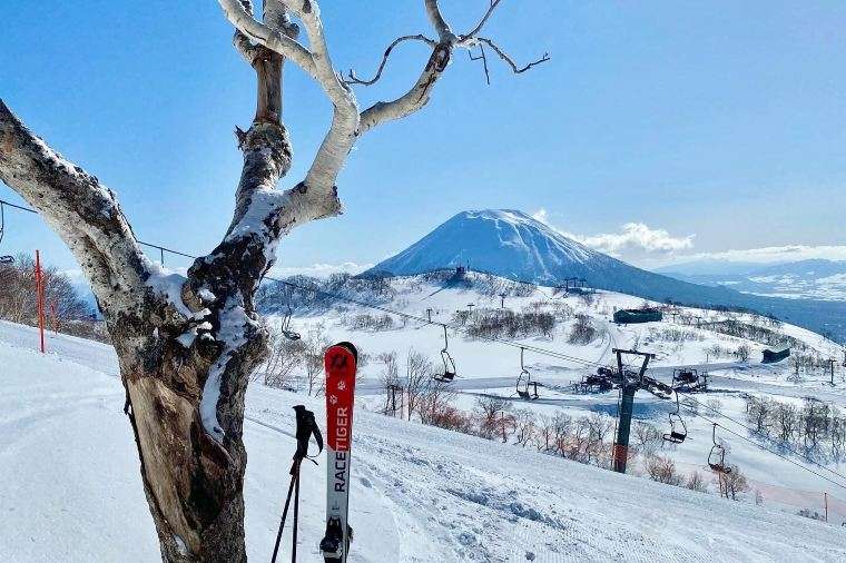 Niseko (Hokkaido)