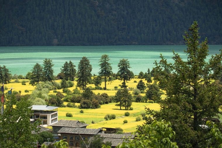 ฤดูใบไม้ผลิในทิเบต