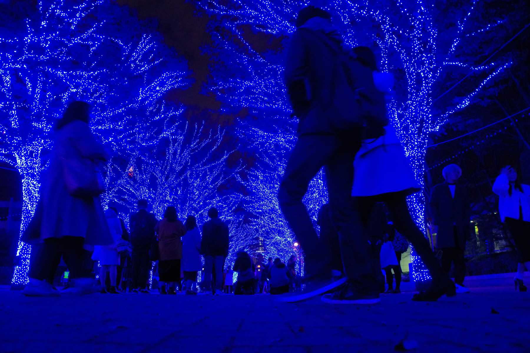 ตัวอย่างแพลนเที่ยว 3 วันสุดมหัศจรรย์ในโตเกียวช่วงคริสต์มาส