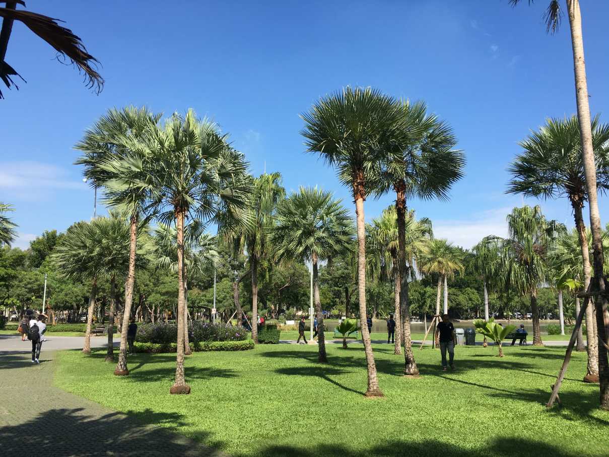 จตุจักร