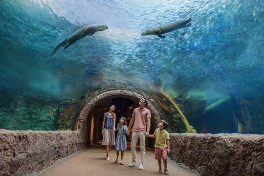 ริเวอร์ วันเดอร์ส (River Wonders)