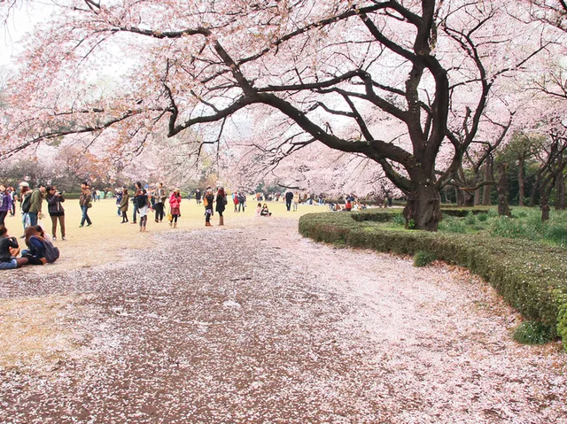 東京一日遊, 新宿御苑