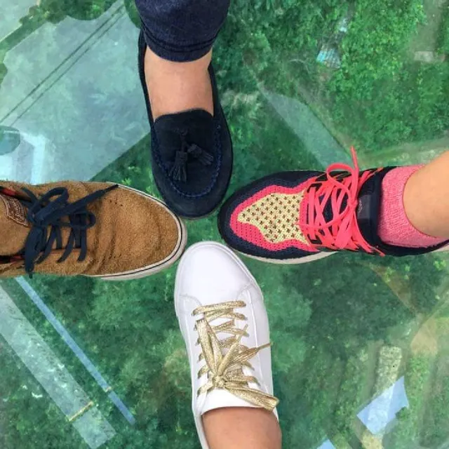 貓空纜車亮點# 3 水晶車廂