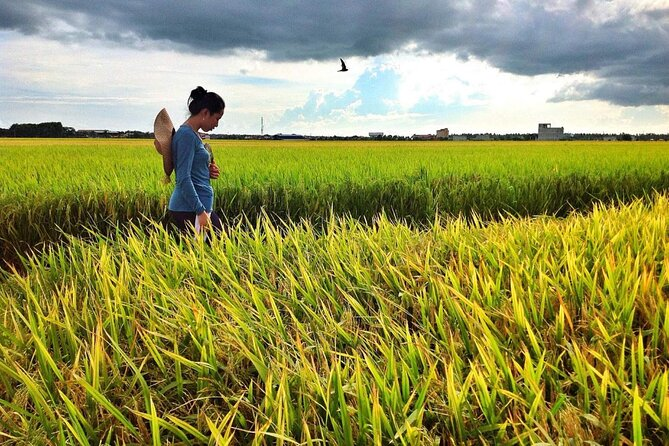 A tourist standing in the ricefields in Sekinchan