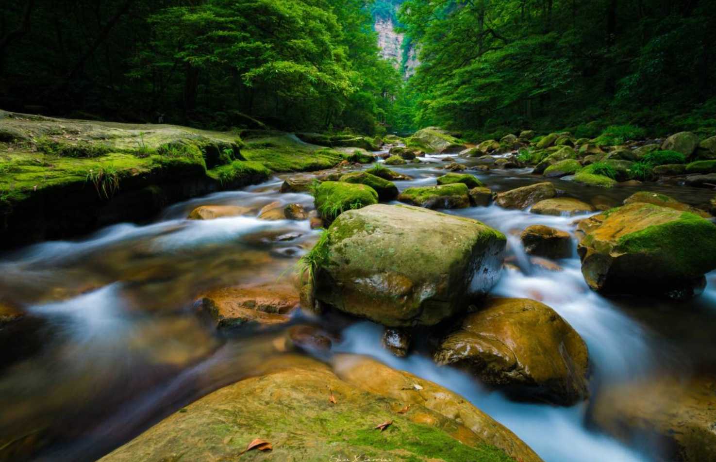 อุทยานแห่งชาติจางเจียเจี้ย