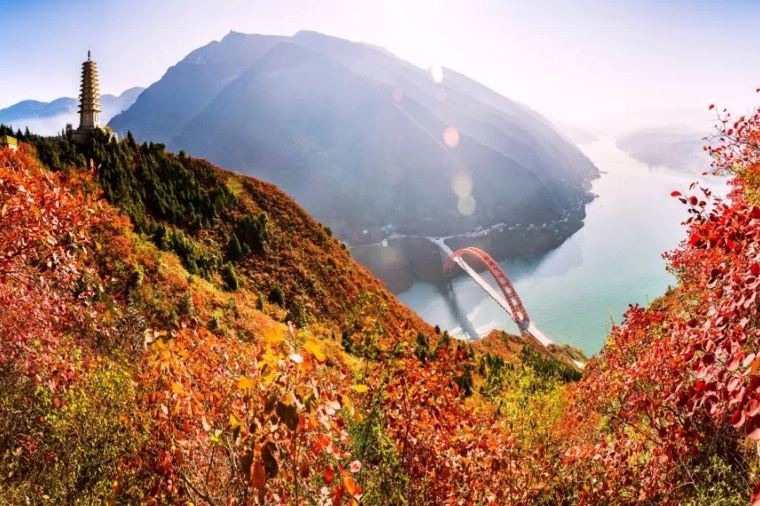 ฤดูใบไม้ร่วงในฉงชิ่ง