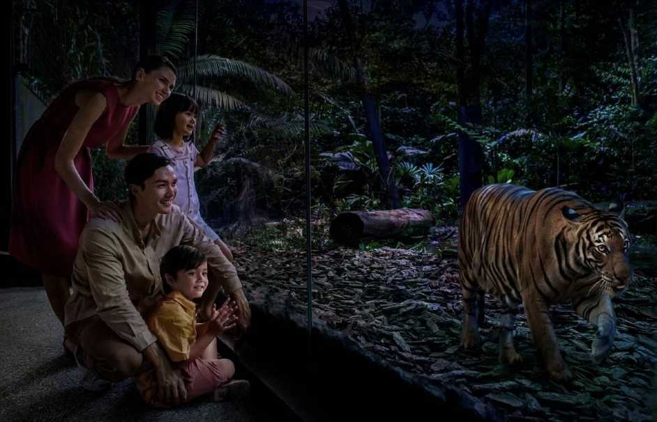 싱가포르 자유 여행 입장권