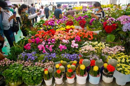 ตลาดดอกไม้โต่วหนาน