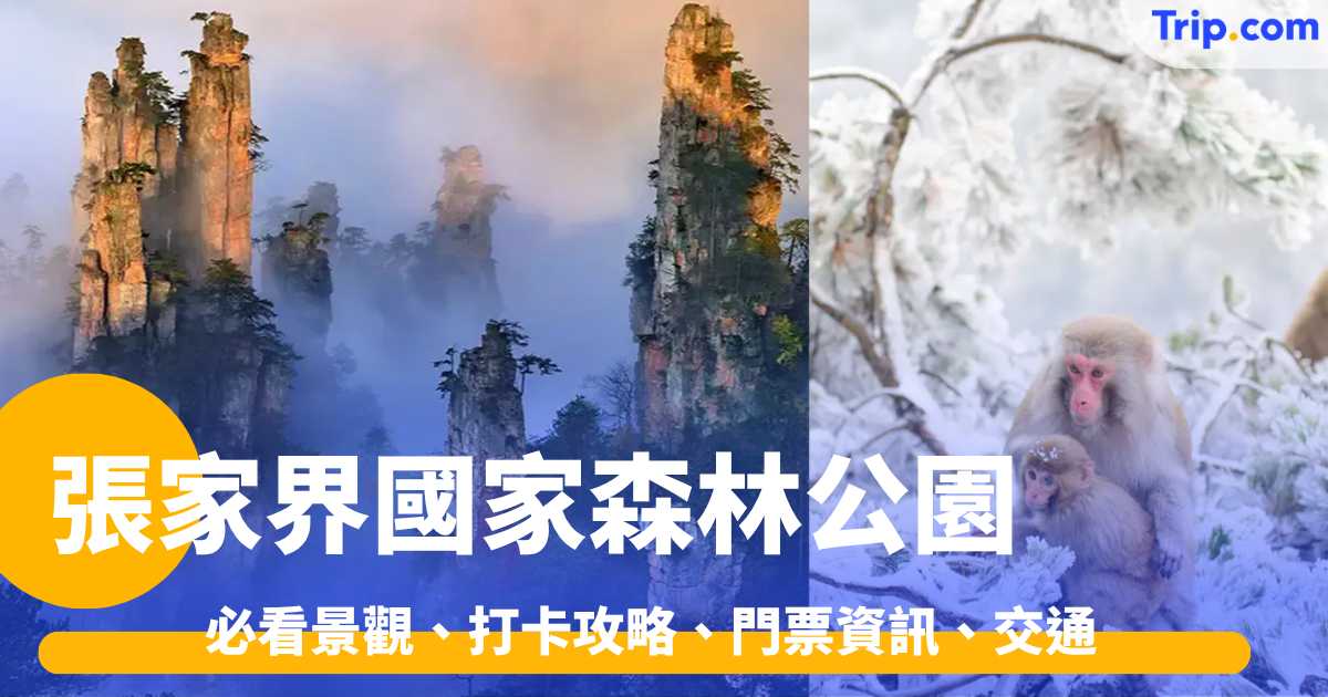 張家界國家森林公園 2026 | 無比震撼巨型石峰！必看景觀、打卡攻略、門票資訊、交通