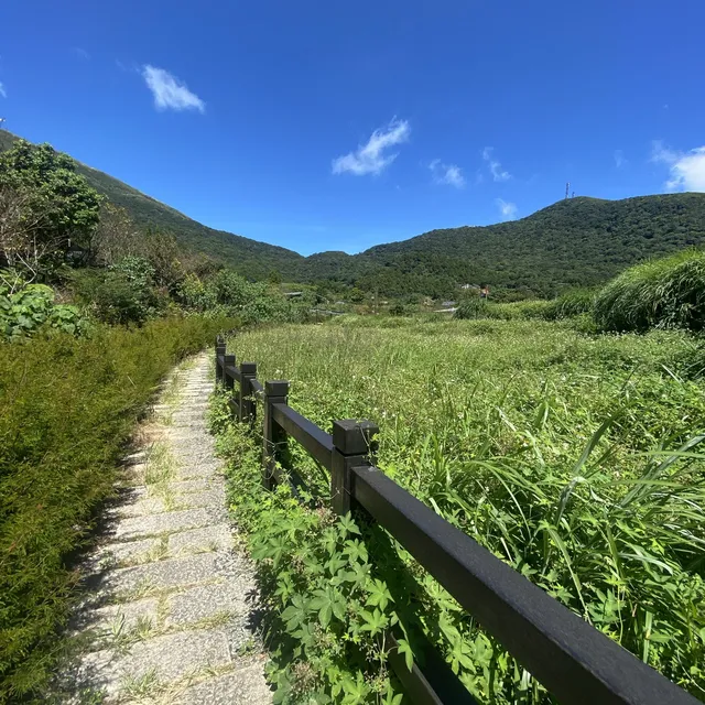 陽明山, 景點推介, 竹子湖