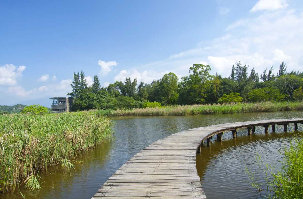 พาลูกเที่ยวฮ่องกง