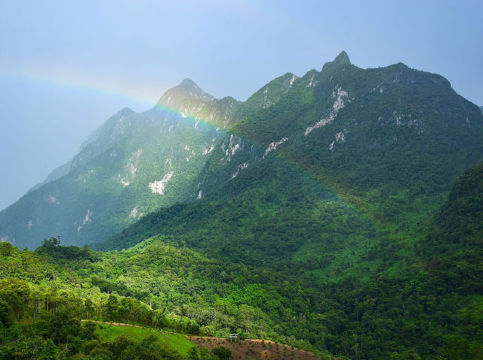 เชียงดาว