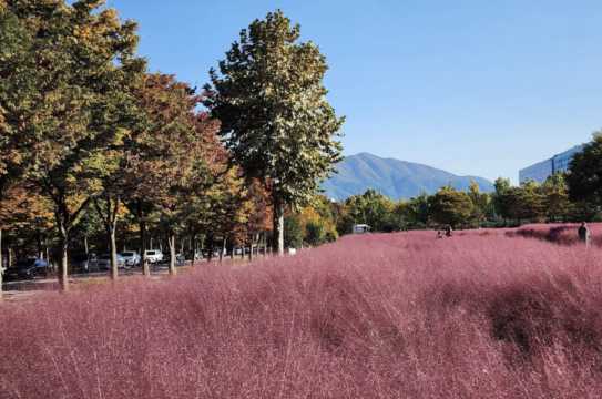 경기도 벚꽃 명소 하남
