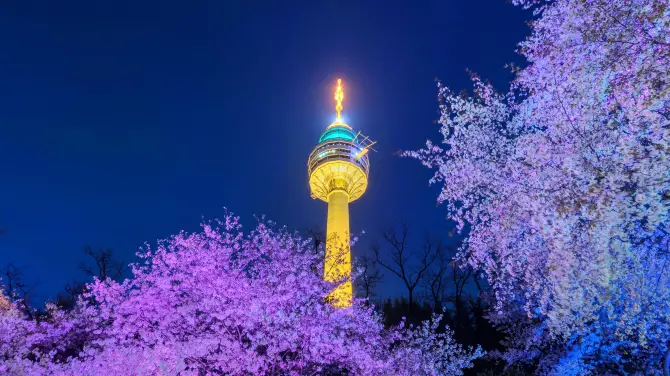 首爾去大邱, 大邱 83 塔