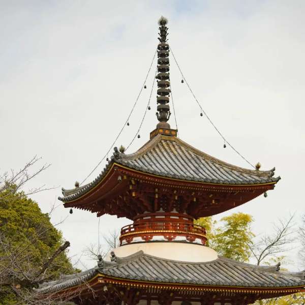 川越小江戶一日遊 喜多院-小江戶川越一番街-冰川神社