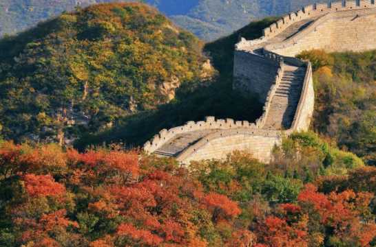 해외여행 결격사유 중국