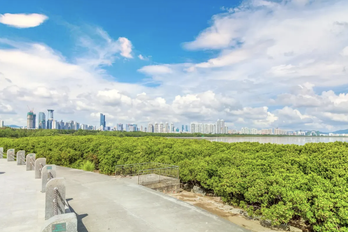 深圳景點