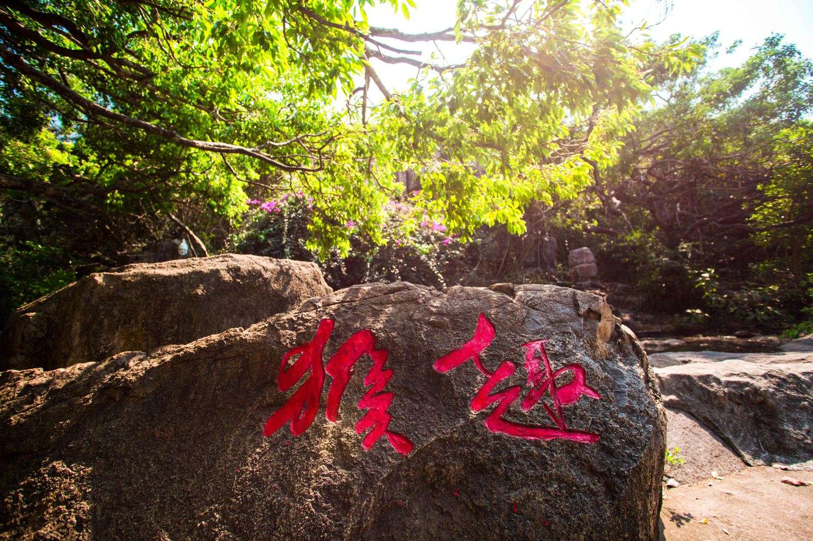 Когда посещать Остров обезьян в Санье