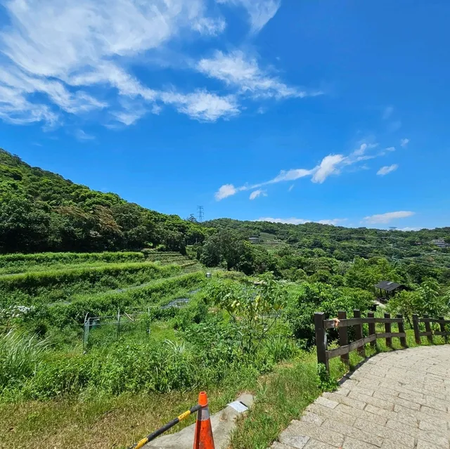 貓空纜車亮點# 2 綠意盎然