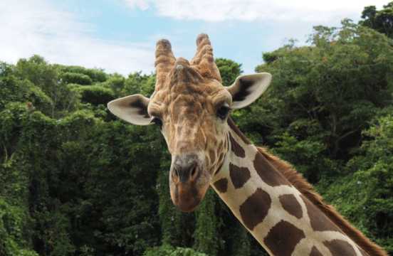 오키나와 어린이나라