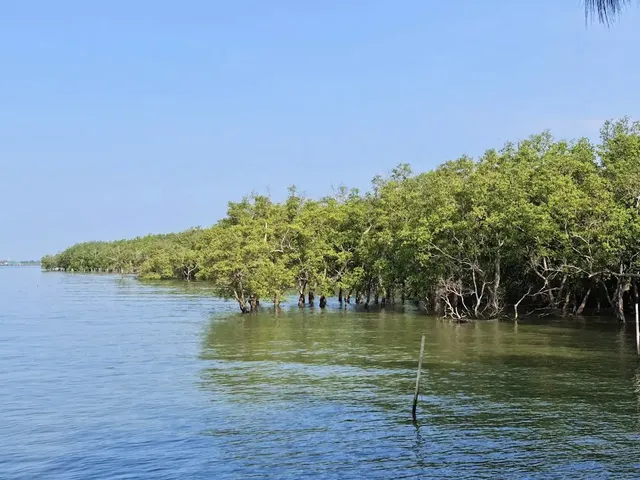 ดอนหอยหลอด สมุทรสงคราม