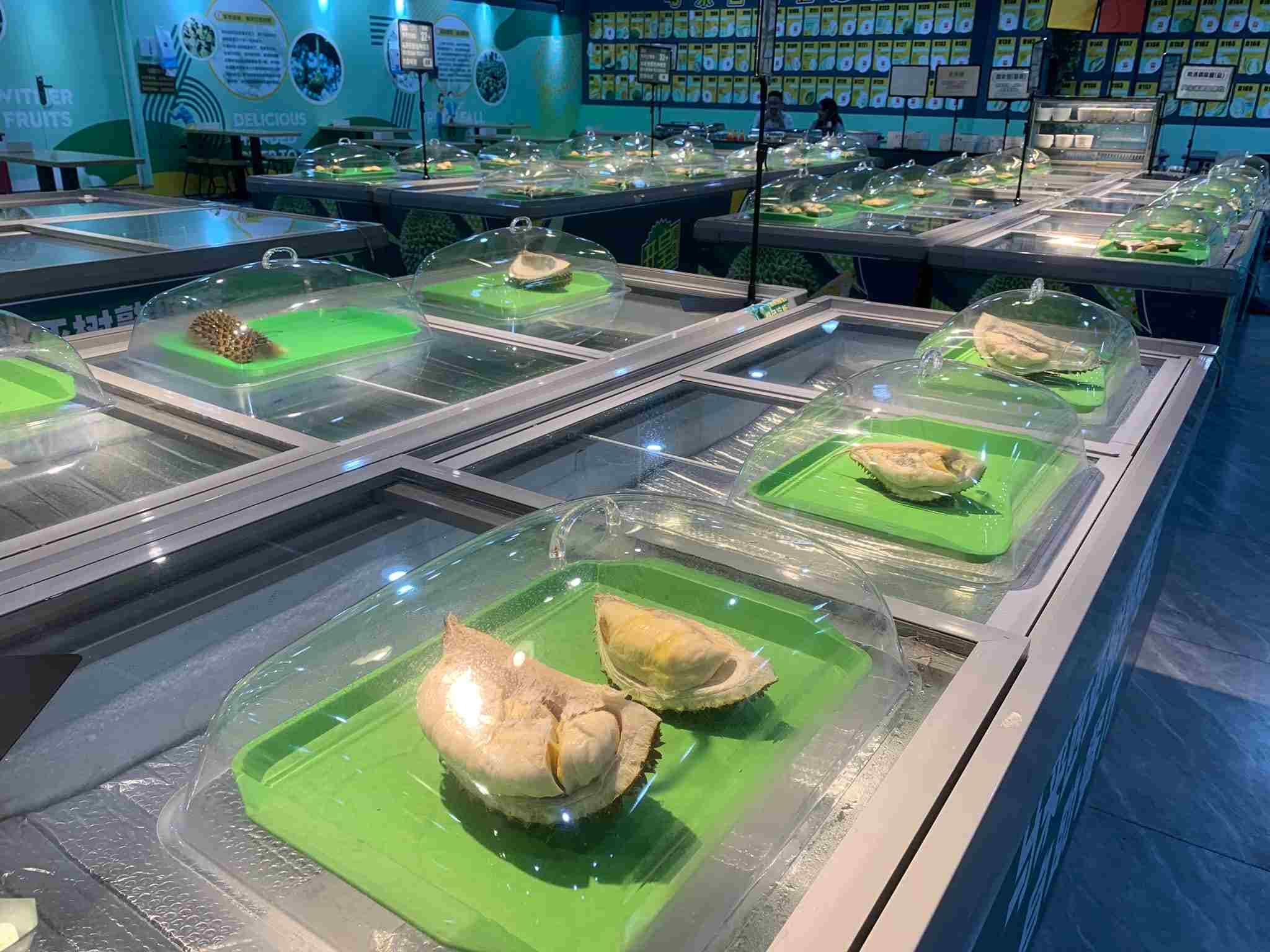 樹上熟馬來西亞榴槤