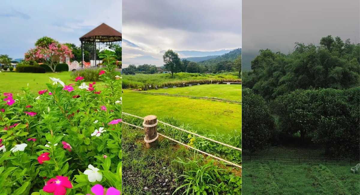 ศูนย์เรียนรู้เกษตรชุมชนวังน้ำเขียว - ที่เที่ยววังน้ำเขียว