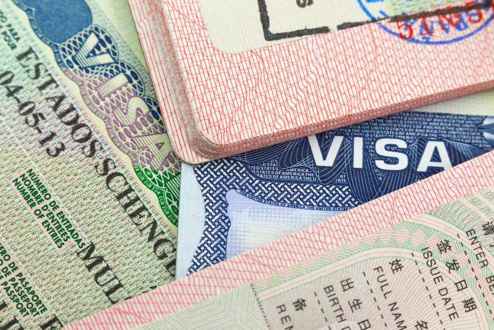 เลขที่วีซ่า (Visa Document Number) และ