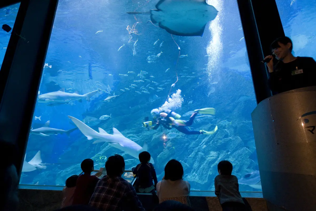 海洋世界海之中道