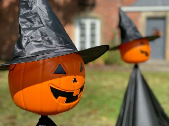 Where Can Families Celebrate Halloween With Kids?