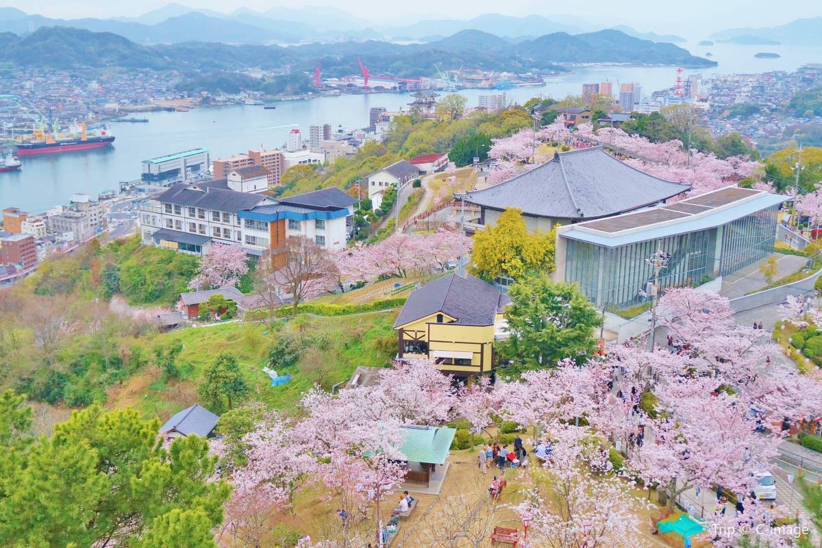 日本中國必訪景點 #3 千光寺公園
