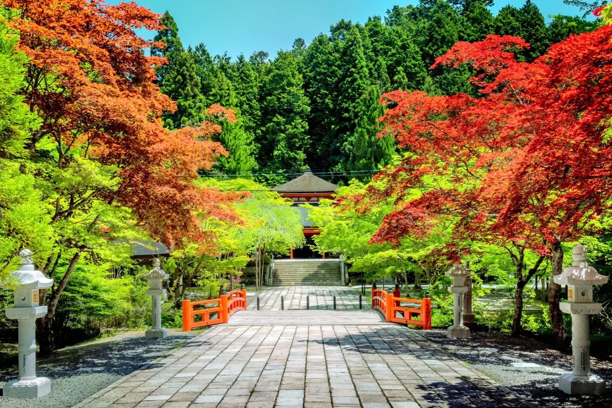 和歌山景點 #2 高野山
