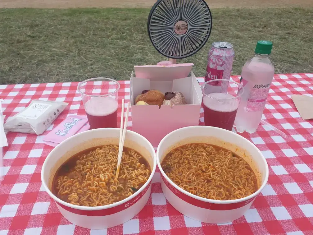 food for picnic by the Hangang River